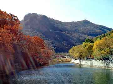 新澳天天开奖资料大全旅游团，土默特右旗seo服务